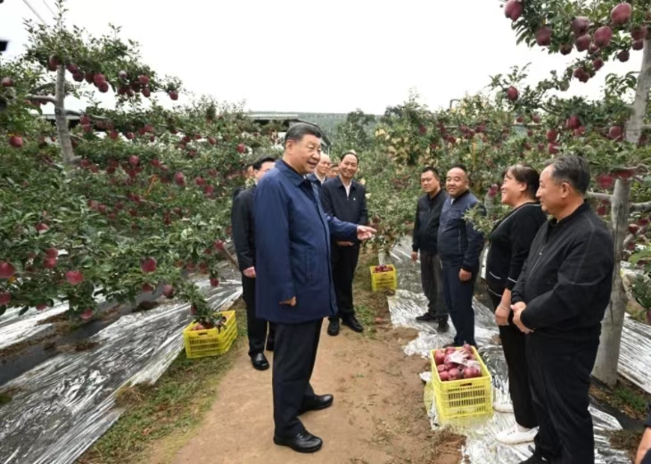 微信图片_20240914175649.jpg